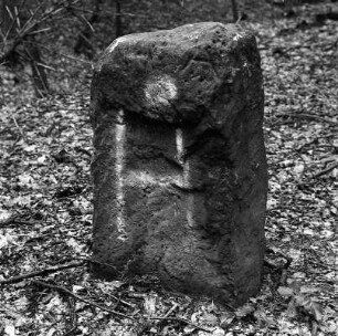 Grenzstein *4825.2 - Cent Bilstein; Waldkappel, Am Hasselbacher Wege