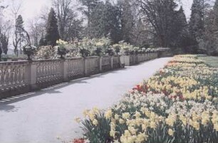 Insel Mainau. Schloßpark, Weg an der Balustrade