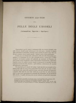 Contributo Allo Studio Della Pelle Degli Urodeli