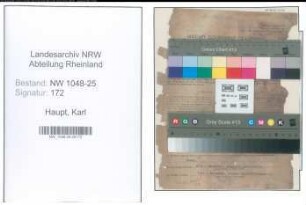 Entnazifizierung Karl Haupt , geb. 11.09.1889 (Vertreter)