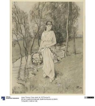 Flora