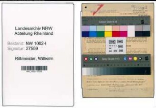 Entnazifizierung Wilhelm Rittmeister, geb. 20.09.1900 (Chemiker)