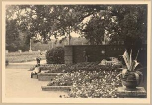 Fotoalbum: Ausstellungsgarten Jubiläums-Gartenbau-Ausstellung 1926, Dresden: Blick von Eichenhof in den großen Rosengarten