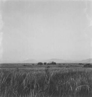 Panorama : Panorama der Virunga-Vulkankette zum Westrand des Grabenbruchs