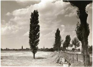 Nordsächsisches Tiefland (Leipziger Tieflandsbucht). Auenlandschaft der Weißen Elster, nordöstlich von Pegau, an der Straße Döhlen - Wiederau. Im Hintergrund die Kirche von Wiederau