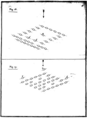 Fig. 18. - Fig. 19.