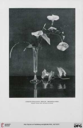 Blumen von Lisbeth Schaudinn