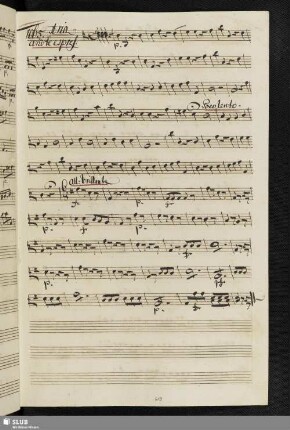 1065. Aria: Che farò senza Euridice / Gluck, W.