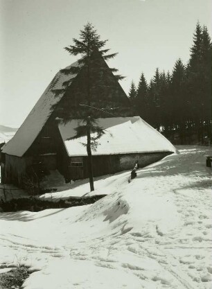Altenberg (Erzgebirge), "Vereinigt Feld im Zwitterstock", ehemalige Schmelzhütte