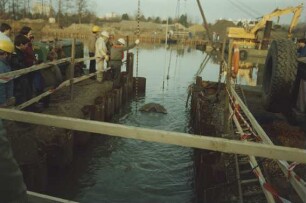 Einschwimmen eines Dükers am Mittellandkanal