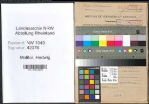 Entnazifizierung Hedwig Molitor , geb. 17.02.1891 (Prokuristin)