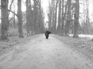 Hockende, schwarz verhüllte Person in einer Allee (Sonderthema: Wunderland) (Altersgruppe SCH)