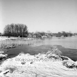 Großensee: Südufer: vorn Gräser und Schilf: hinten Häuser und Bäume: Winter