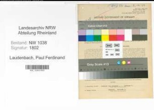 Entnazifizierung Paul Ferdinand Laudenbach , geb. 14.10.1902 (Saegewerksbesitzer)