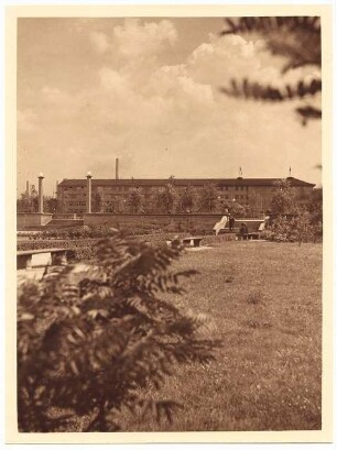 Stadtpark, Hindenburg: Stadtpark hier an der Alsenstraße, im Hintergrund der Marktplatz