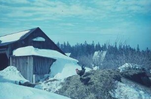 Erzgebirge. Verschneiter Bauernhof