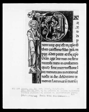 Bibel des Manerius Teil 3 — Anfang des 1. Briefs an Timotheus mit Initiale P (aulus), Folio 287 verso