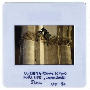 Lucera, Kathedrale : Detailansicht Kapitelle südlicher Vorderpfeiler südliches Seitenschiff