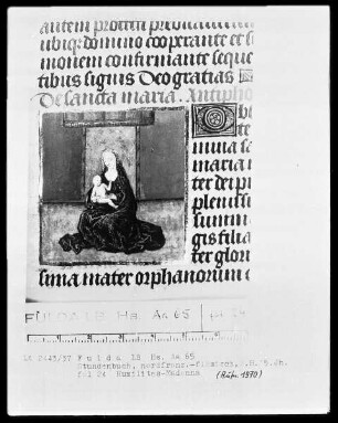 Stundenbuch, ad usum Romanum — Humilitas-Madonna, Folio 24recto