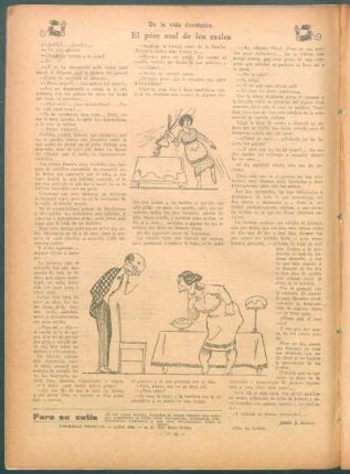 De la vida doméstica : El peor mal de los males