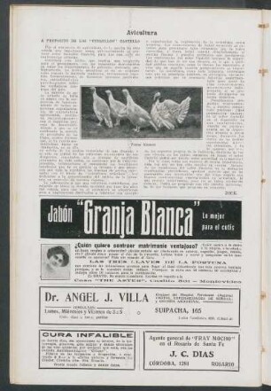 Avicultura : A propósito de los "cursillos" Castelló