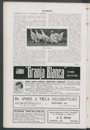 Avicultura : A propósito de los "cursillos" Castelló