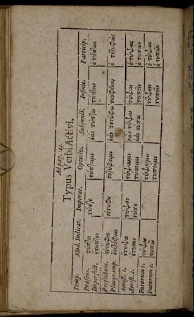 Typus Verbi Activi, /Ad pag.123.