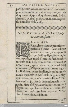De Vipera coeunte cum masculo. Cap. XVI.