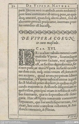 De Vipera coeunte cum masculo. Cap. XVI.
