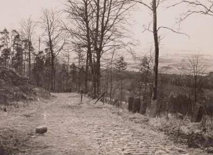 Lückendorfer Paßstraße : Lückendorfer Paßstraße. Ausblick von der Höhe der "Alten Gabler Strasse" nach Norden