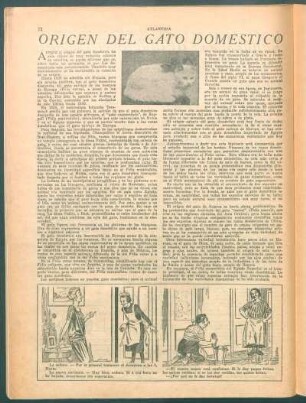 Origen del gato domestico