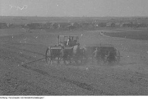 Ebersbach-Kalkreuth und Zabeltitz-Stroga. Getreide, Ernte, Juli 1953