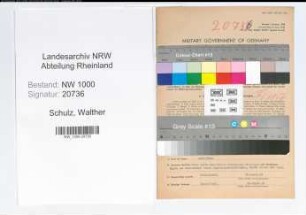 Entnazifizierung Walther Schulz, geb. 29.10.1893 (Institutsdirektor)