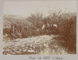 Bach im wadi el-hesa.