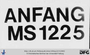 MF Mau 1225