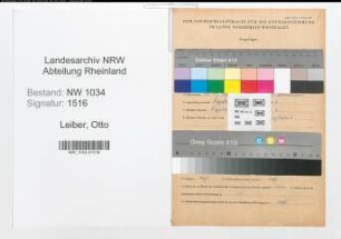 Entnazifizierung Otto Leiber , geb. 28.11.1884 (Offizier)