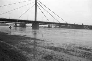 Rheinhochwasser