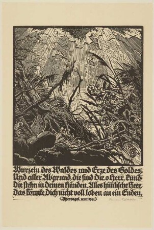 Wurzeln des Waldes