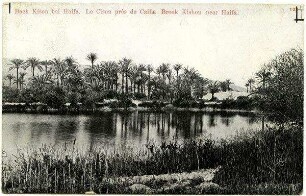 Bach Kison bei Haifa. Le Cison près de Caifa. Brook Kishon near Haifa. [Postkarte an Gustaf Dalman]