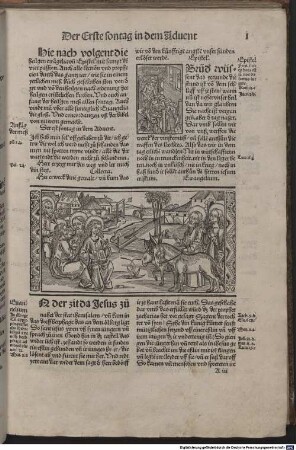 Euangelia mit vslegunge der glos. Epistel. Prophecy. vnd die fier Passion