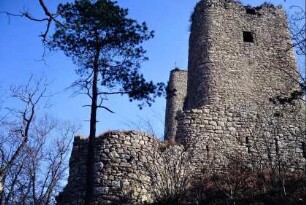 Blick von unten zur Burgruine im Wintersonnenschein