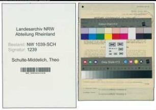 Entnazifizierung Theo Schulte-Middelich , geb. 29.09.1920 ()