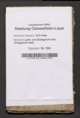 Sonstige: Dellbrügge, Peter Heinrich; Ehepartner: Dellbrügge, Margarethe Ilsabein, geb. Haselhorst: