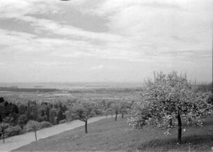 Jugenheim: Blick vom Heiligenberg auf das Rheintal
