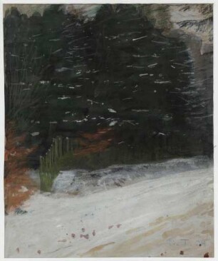 [Winterlandschaft]