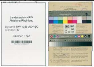 Entnazifizierung Theo Biercher , geb. 05.04.1903 (Steiger)