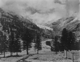 Schneelandschaft : Blick auf eine verschneite Berglandschaft. Im Vordergrund Tannen.