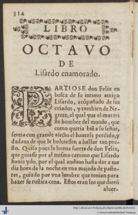 Libro Octavo