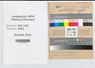 Entnazifizierung Erich Schmidt , geb. 08.08.1900 (Landesamtmann)