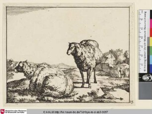 [Un mouton couché, vu preque pa le dos, et dirigé vers la gauche; un autre vu de face, est debout près de lui; Ein abgewandtes liegendes Schaf, ein weiteres stehend dahinter, rechts im Hintergrund ein Bauer auf dem Weg zu einer Hütte]
